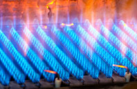Rosevean gas fired boilers